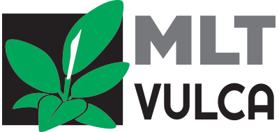 logo-MLT