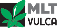 logo-MLT-vulca
